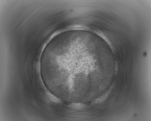 X0000100361474200807031827