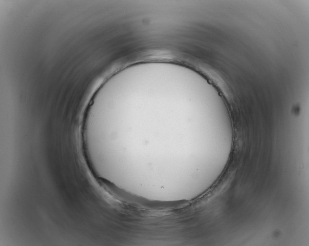 X0000100361475200807031827