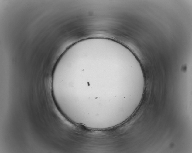 X0000100361476200807031827