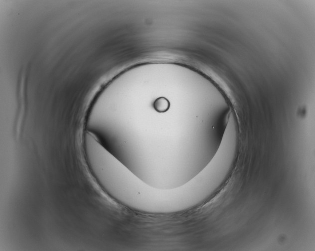 X0000100361477200807031827