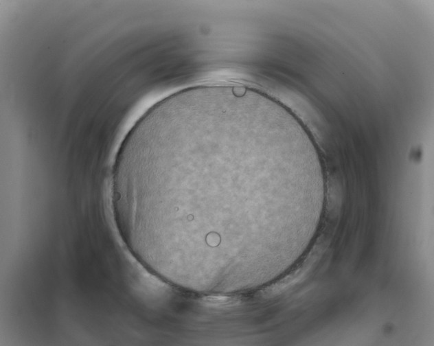 X0000100361478200807031827