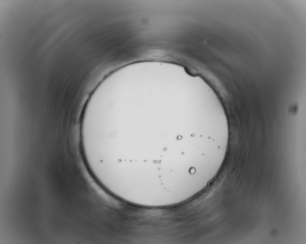 X0000100361479200807031826