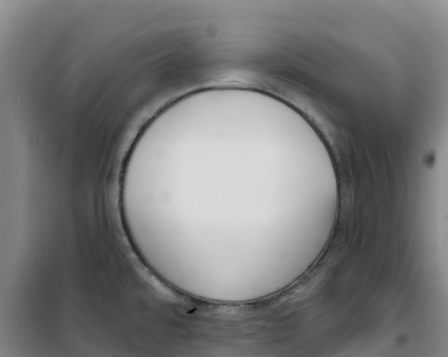 X0000100361480200807031826