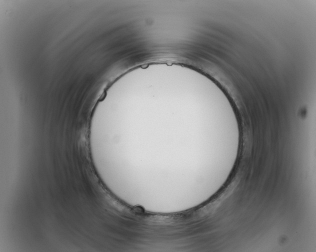 X0000100361481200807031826