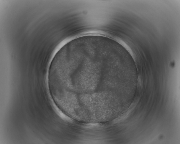 X0000100361482200807031826