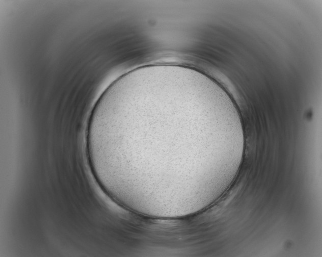 X0000100361483200807031826