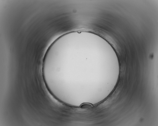 X0000100361484200807031826