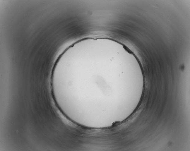 X0000100361485200807031826