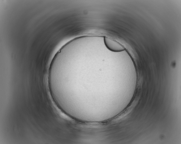 X0000100361486200807031826