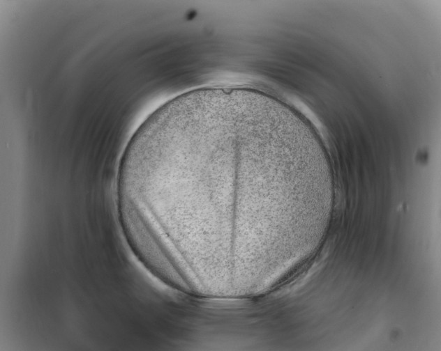 X0000100361487200807031826