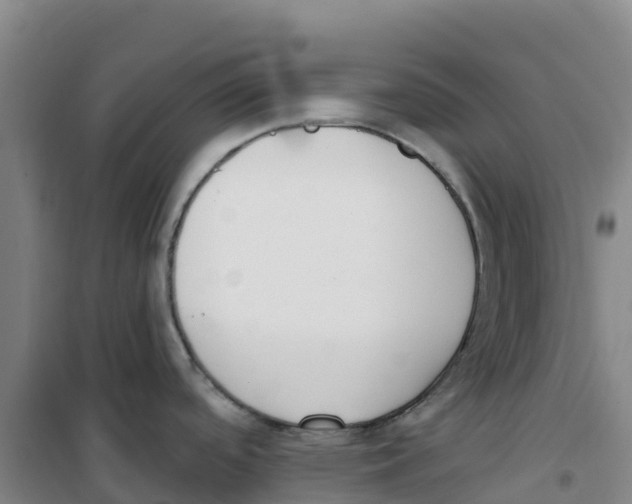 X0000100361488200807031826