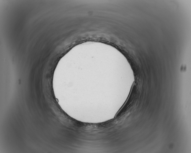 X0000100361489200807031825