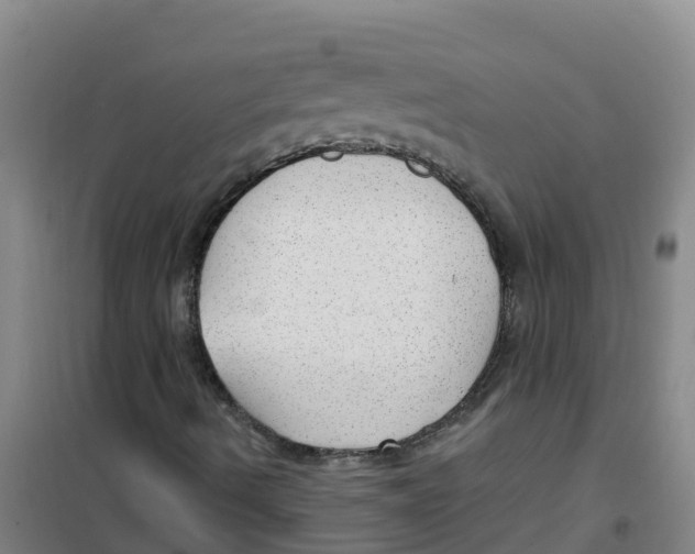 X0000100361490200807031825