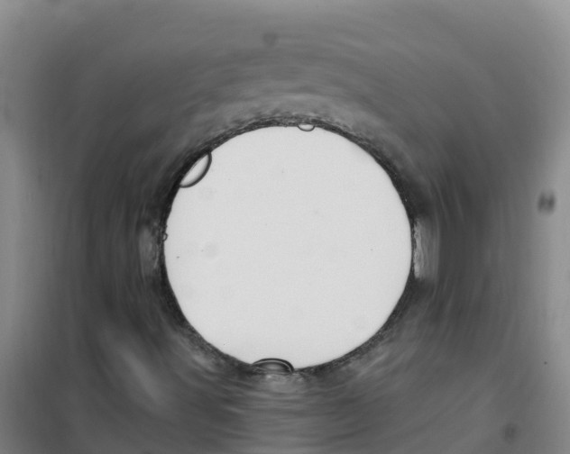 X0000100361491200807031825