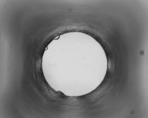 X0000100361492200807031826