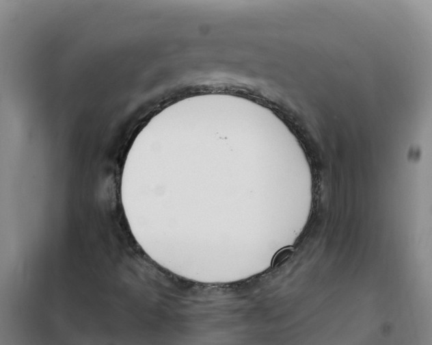 X0000100361493200807031826