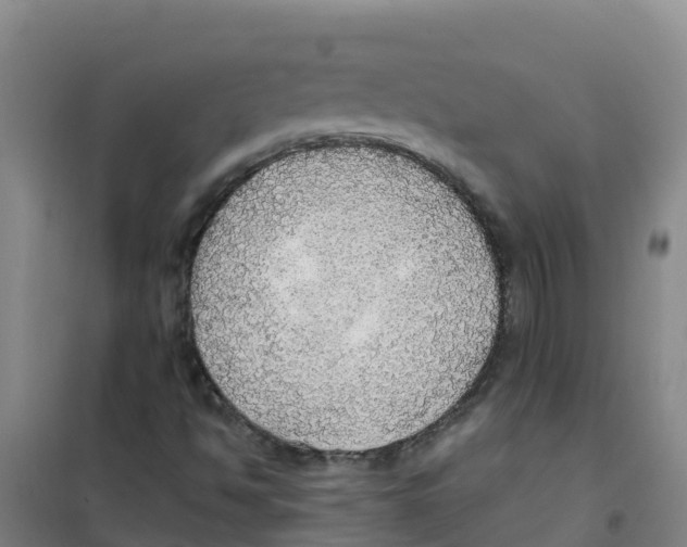 X0000100361494200807031826