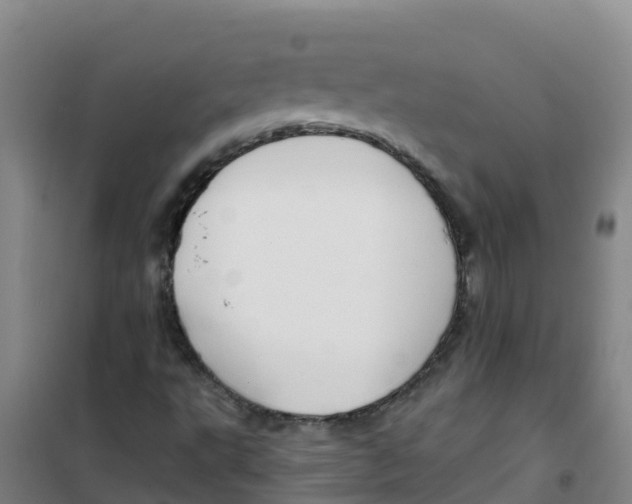 X0000100361495200807031826