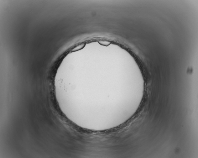 X0000100361496200807031826