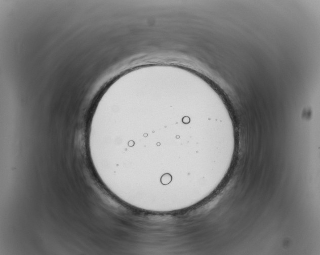 X0000100361498200807031826