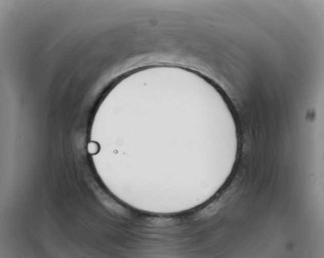 X0000100361499200807031826