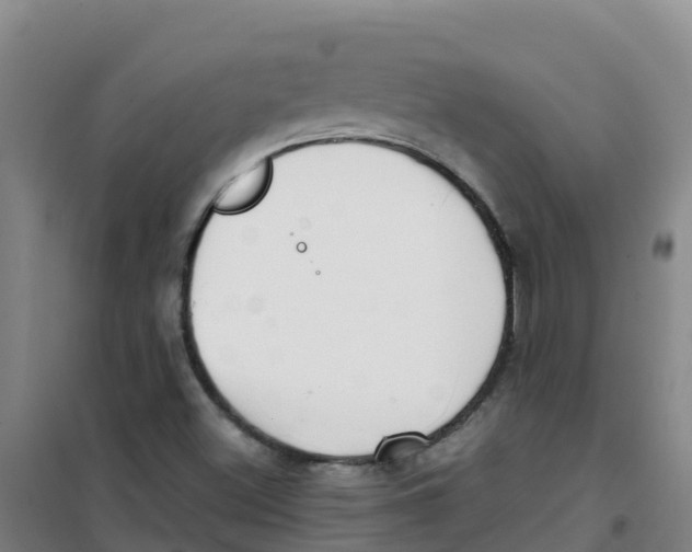 X0000100361500200807031826