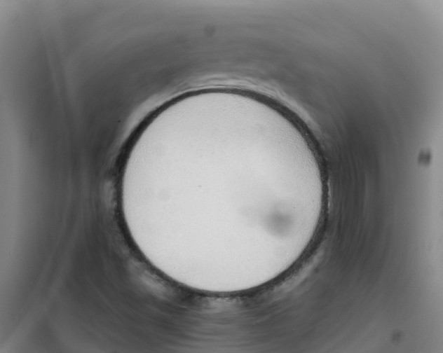 X0000100361501200807031826