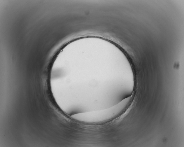 X0000100361502200807031826