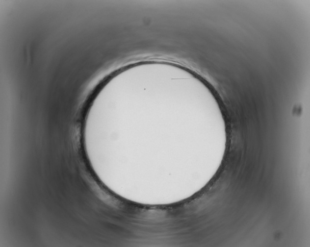 X0000100361503200807031826