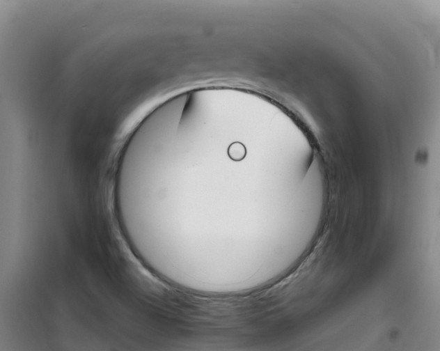 X0000100361504200807031826