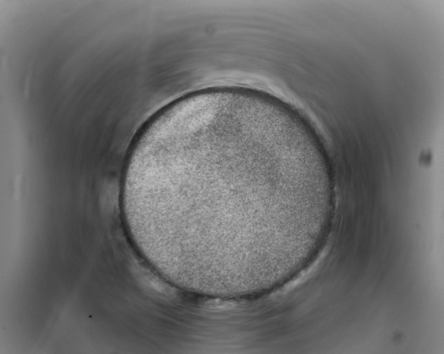 X0000100361505200807031826