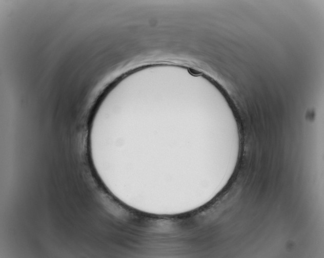 X0000100361507200807031826