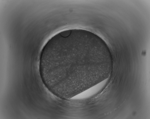 X0000100361508200807031826