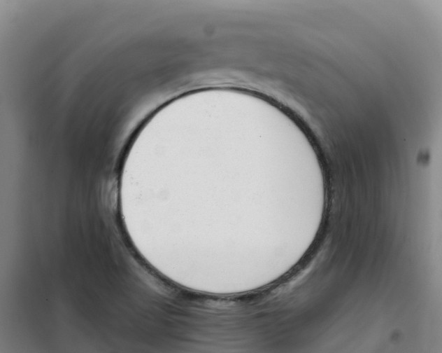 X0000100361509200807031826