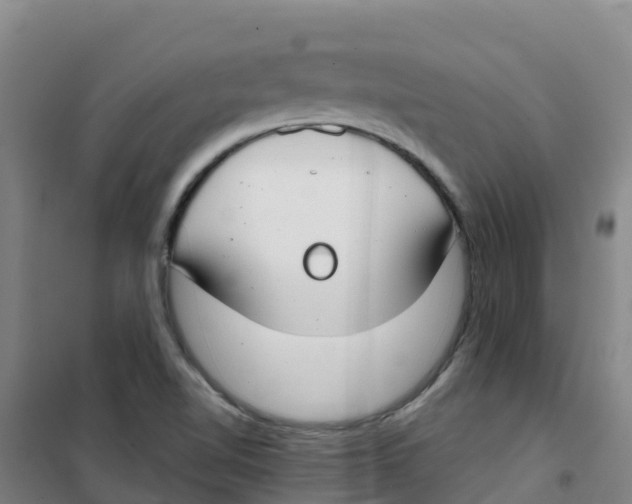 X0000100361510200807031826