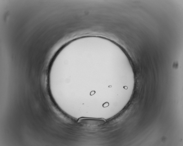 X0000100361511200807031826