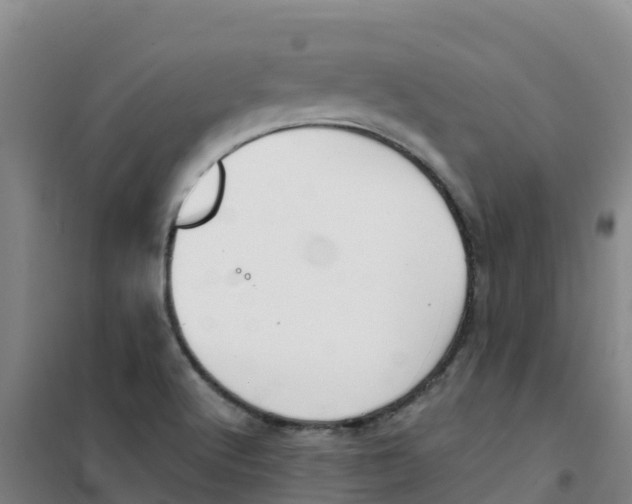 X0000100361512200807031826