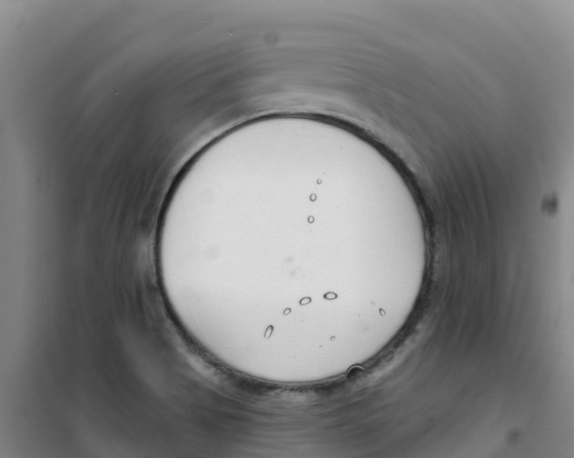 X0000100361513200807031826