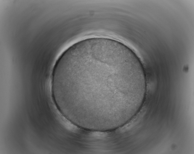 X0000100361514200807031826