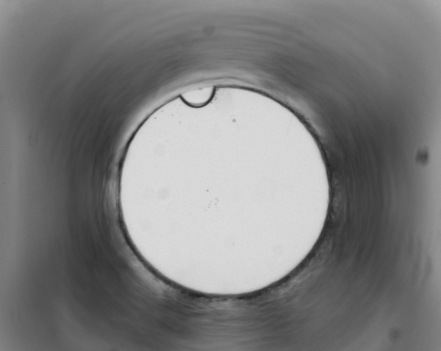 X0000100361516200807031826