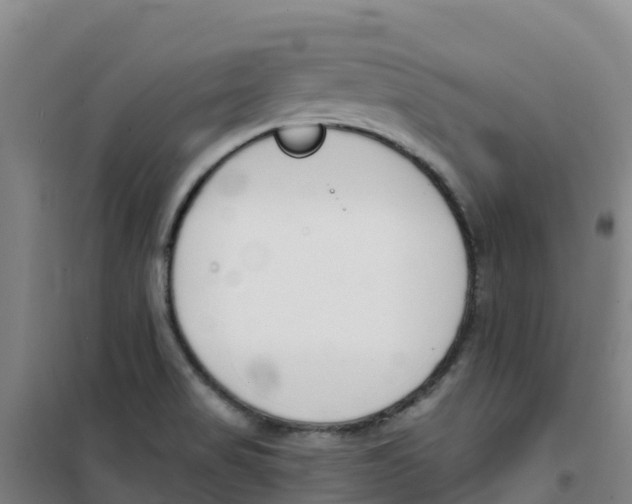 X0000100361517200807031826