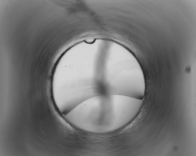 X0000100361518200807031826