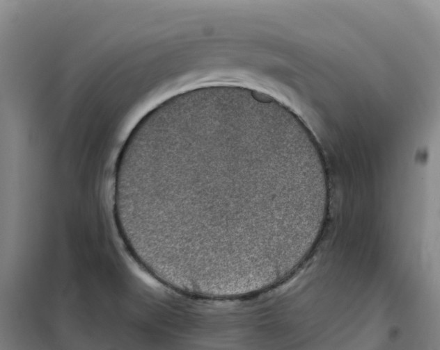 X0000100361519200807031826