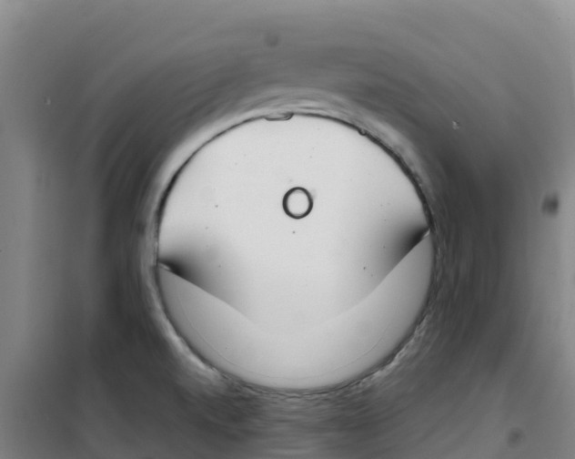 X0000100361520200807031826