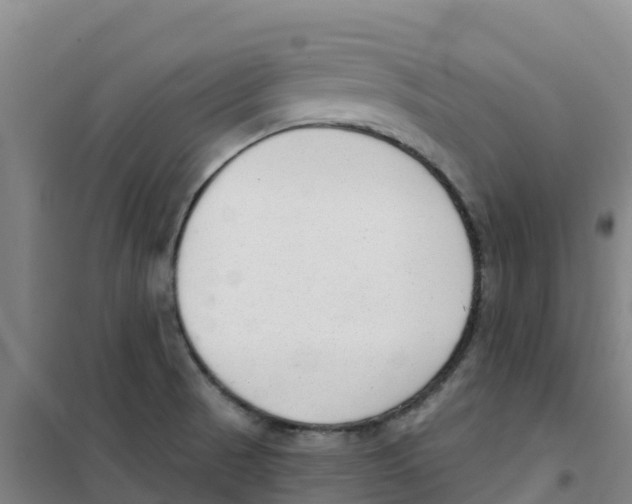 X0000100361521200807031826