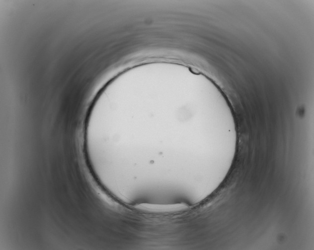 X0000100361523200807031826