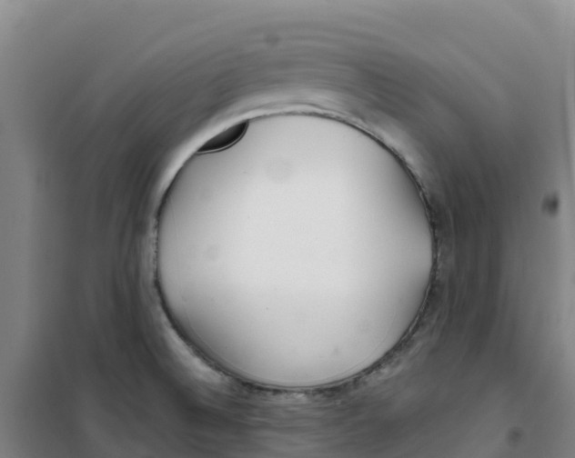 X0000100361524200807031826