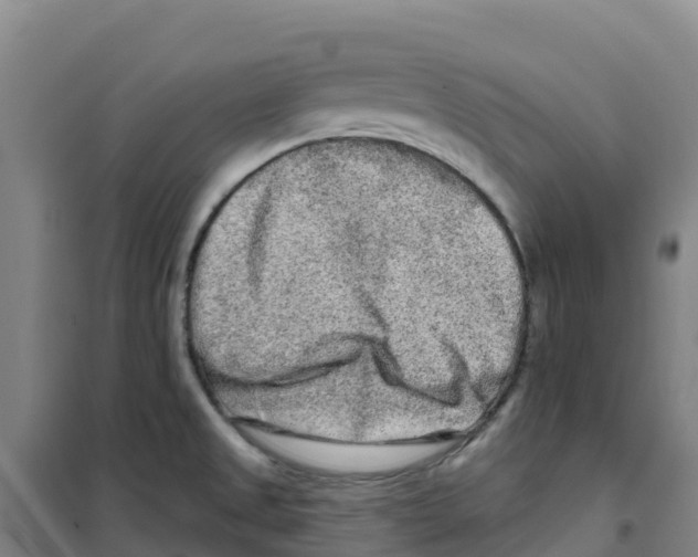 X0000100361525200807031826