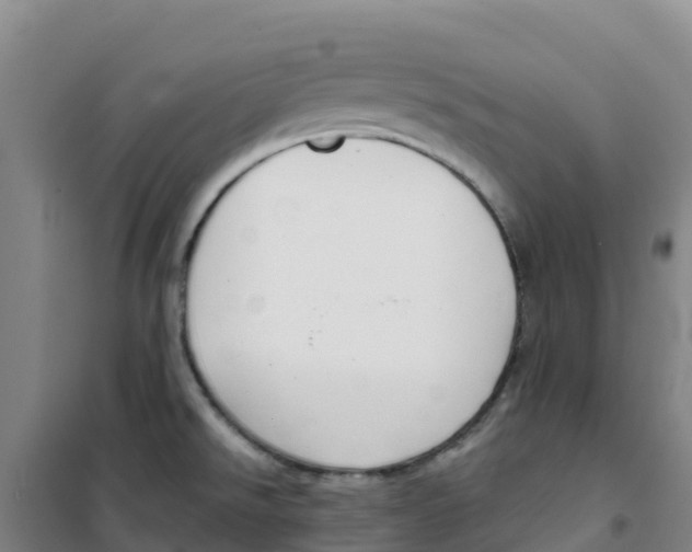 X0000100361526200807031826