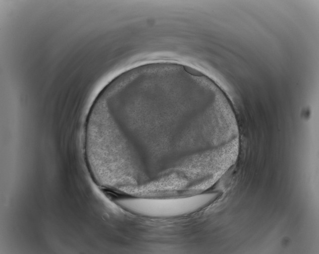 X0000100361527200807031826